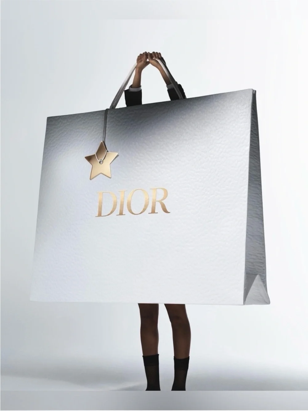 Dior 2026 Prestige Set, Powder Puffs, Large Gift Bag & More